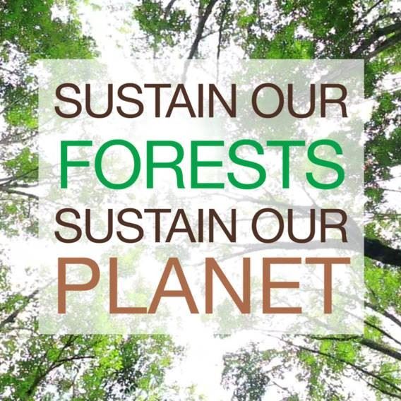 Lets celebrate International Forest Day every day with Virospack